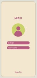 App screen: log in with email and password